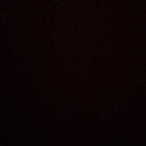 Meet your Posher, Cesar